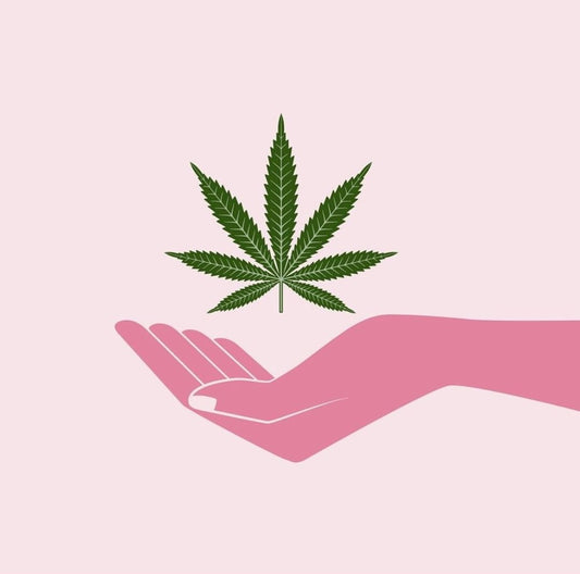 Enhance and Elevate Your Wellness Routine with CBD