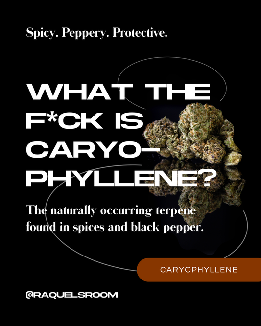 What the F*ck Are Terpenes? Now: Caryophyllene