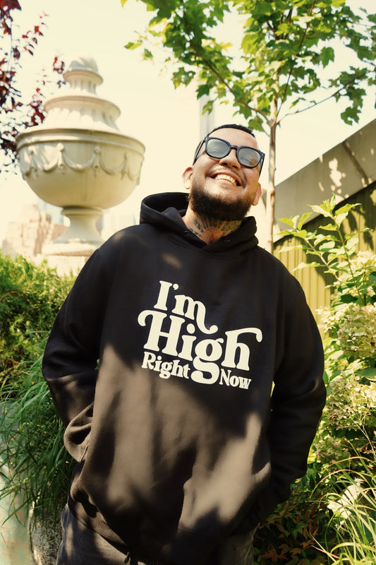 I'm High, Right Now Hoodie