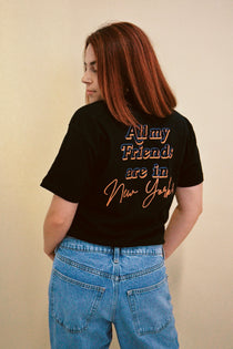 Alternative image text